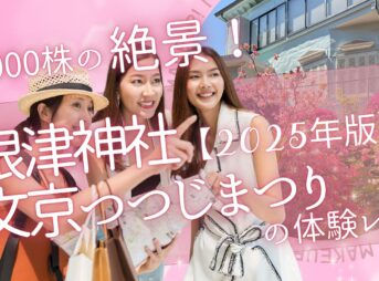 ブログのサムネイル画像